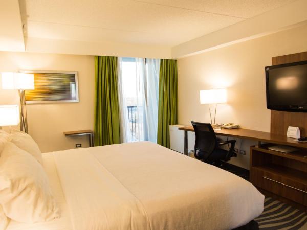 Holiday Inn Winnipeg - Airport West, an IHG Hotel : photo 3 de la chambre chambre lit king-size standard