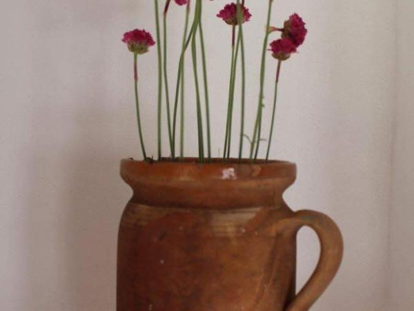 Arácsi Vendégház : photo 8 de la chambre suite 2 chambres