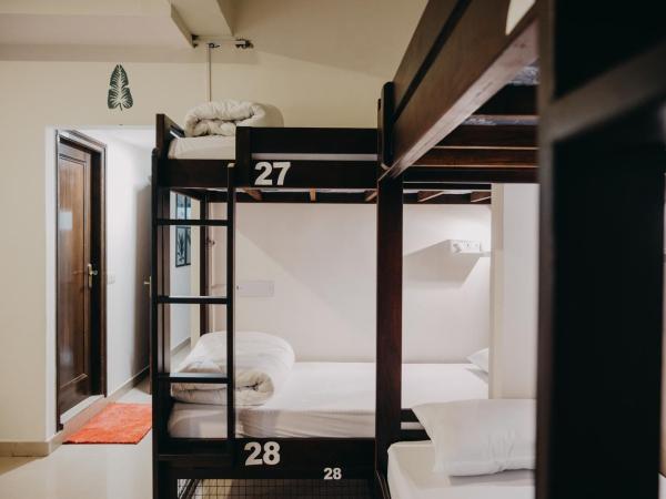 Horn Ok Please Hostel Jaipur : photo 2 de la chambre lit dans dortoir mixte de 8 lits