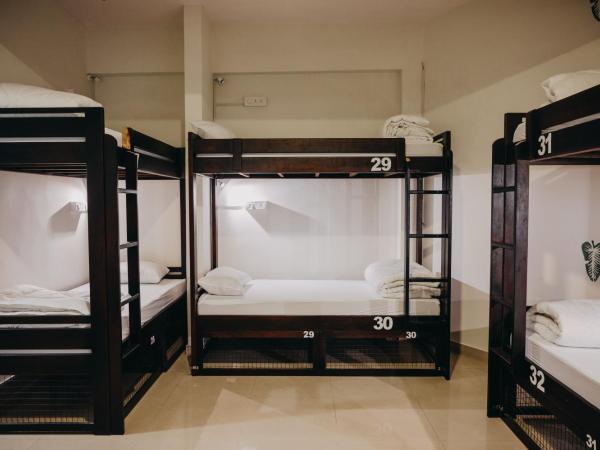 Horn Ok Please Hostel Jaipur : photo 3 de la chambre lit dans dortoir mixte de 8 lits