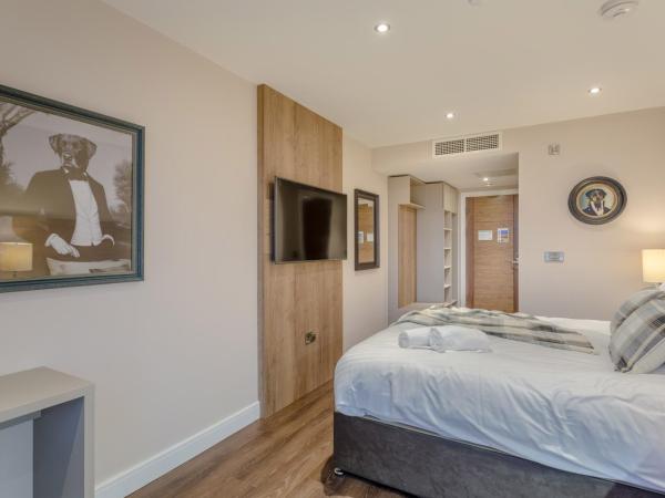 Dwell City Living : photo 3 de la chambre studio standard