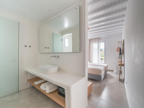 Vienoula's Garden Hotel : photo 7 de la chambre chambre lits jumeaux - vue sur jardin