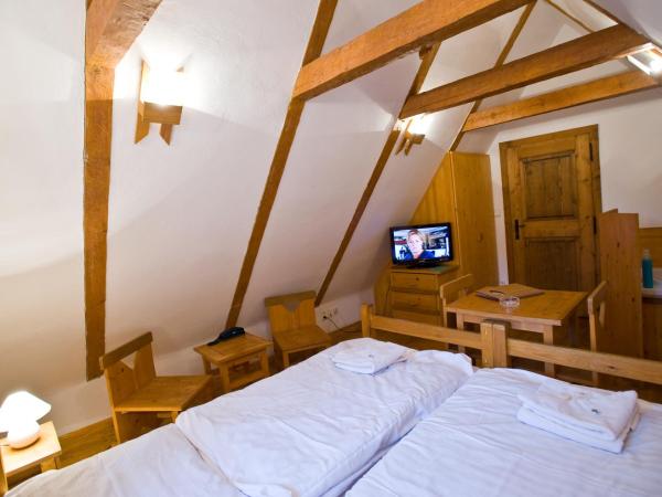 Hotel U Malého Vitka : photo 4 de la chambre chambre triple