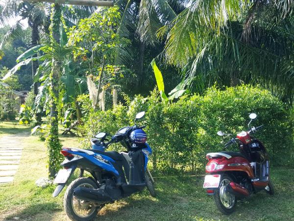 Home No.9 : photo 10 de la chambre chambre lit king-size avec balcon