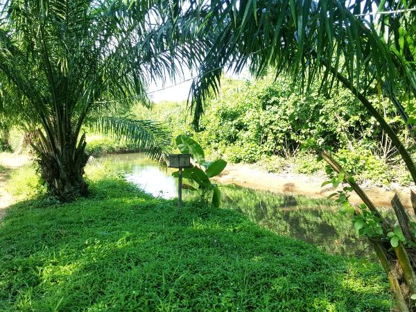 Home No.9 : photo 9 de la chambre chambre lit queen-size - vue sur jardin