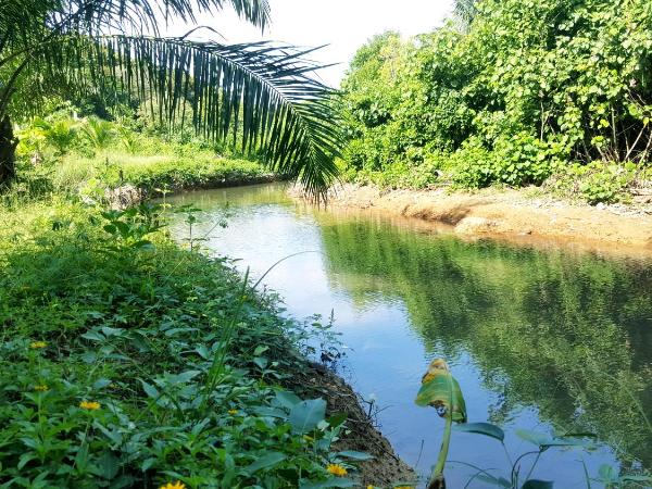 Home No.9 : photo 10 de la chambre chambre lit queen-size - vue sur jardin