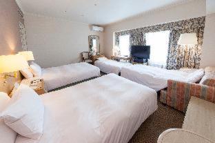 Kobe Seishin Oriental Hotel : photo 1 de la chambre room #218673929