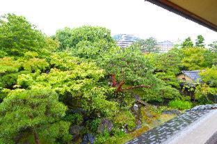 Nanzenji sando KIKUSUI : photo 4 de la chambre room #327147510