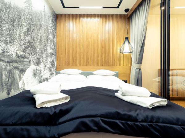 Jagiellońska Residence : photo 2 de la chambre loft