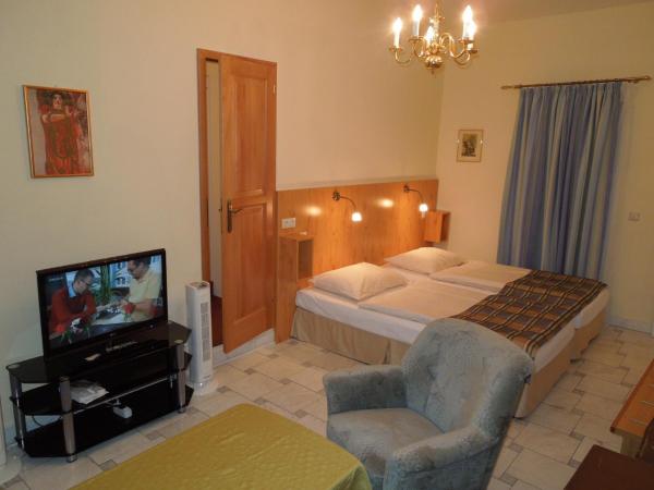 Continental Hotel-Pension : photo 8 de la chambre appartement (4 adultes)