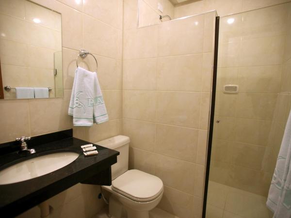 Soneca Plaza Hotel : photo 5 de la chambre chambre lits jumeaux