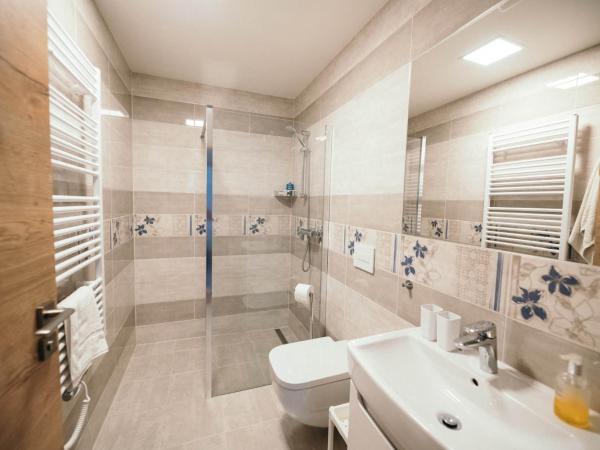 Vila Jáchymov : photo 8 de la chambre appartement 1 chambre