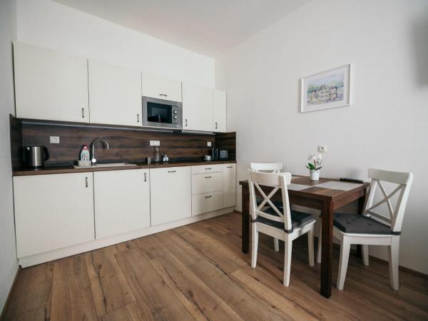 Vila Jáchymov : photo 10 de la chambre appartement