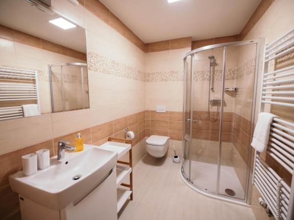 Vila Jáchymov : photo 9 de la chambre appartement avec balcon