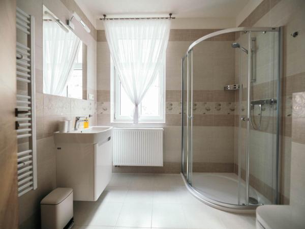 Vila Jáchymov : photo 8 de la chambre appartement