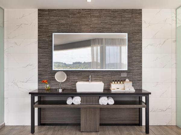 Pullman Rotorua : photo 4 de la chambre chambre lit king-size supérieure - vue sur ville