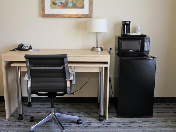 Holiday Inn Express & Suites San Antonio Brooks City Base, an IHG Hotel : photo 3 de la chambre chambre standard