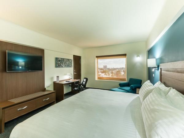 Holiday Inn Guadalajara Expo Plaza del Sol, an IHG Hotel : photo 1 de la chambre chambre premium