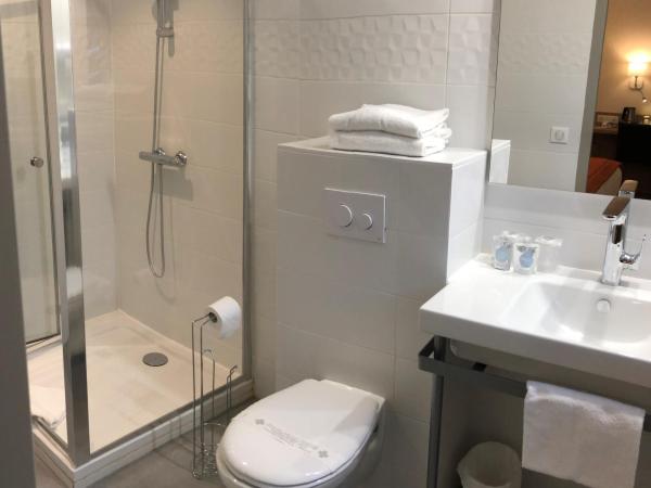 Kyriad Quimper Sud : photo 4 de la chambre chambre double supérieure