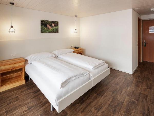 Jungfrau Lodge, Swiss Mountain Hotel : photo 7 de la chambre chambre double ou lits jumeaux avec balcon - vue sur montagne