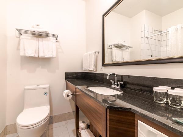 The Sylvia Hotel : photo 4 de la chambre chambre standard avec 2 lits queen-size