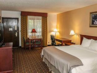 Travelodge by Wyndham Indianapolis Speedway : photo 5 de la chambre room #5831009