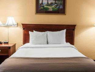 Travelodge by Wyndham Indianapolis Speedway : photo 7 de la chambre room #5831009