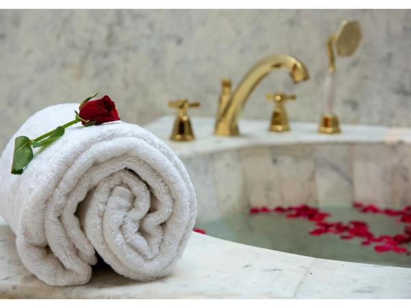 Buena Vista Luxury Garden Spa Resort : photo 2 de la chambre luxury villa with private pool- 10% discount on f&b