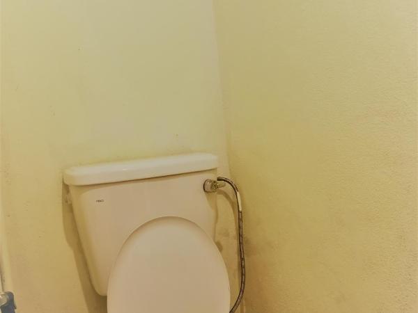 MoonTree47 : photo 6 de la chambre chambre familiale (3 adultes)