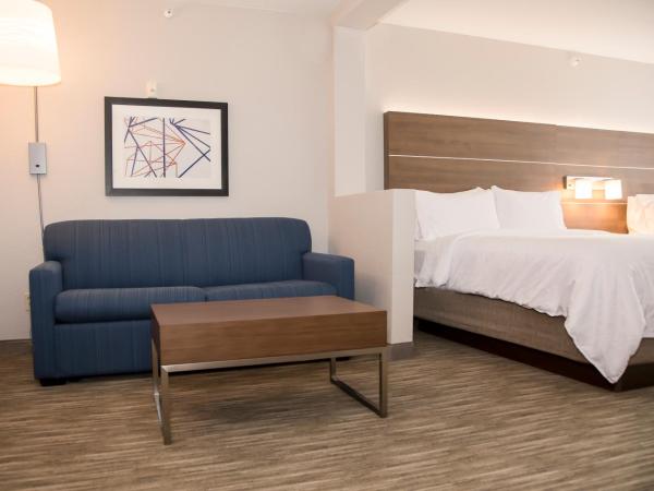 Holiday Inn Express & Suites Colorado Springs North, an IHG Hotel : photo 1 de la chambre suite avec 2 lits - non-fumeurs
