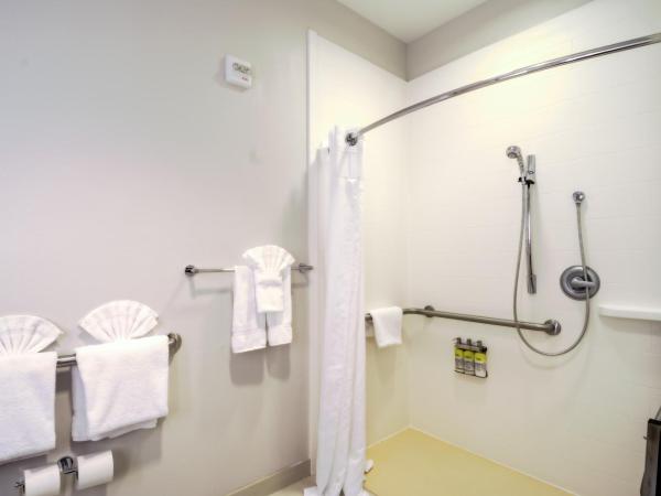 Holiday Inn Express Hotel & Suites Tampa-USF-Busch Gardens, an IHG Hotel : photo 2 de la chambre chambre lit king-size pour personnes à mobilité réduite – douche accessible en fauteuil roulant - non-fumeurs