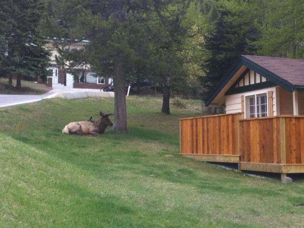 Hillside Bungalows : photo 3 de la chambre cottage