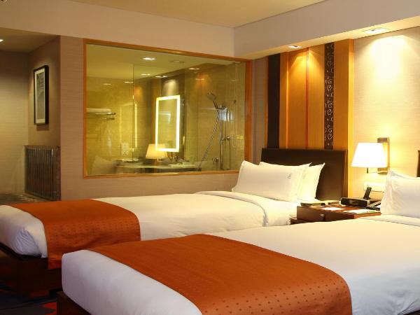 Holiday Inn New Delhi Mayur Vihar Noida, an IHG Hotel : photo 10 de la chambre hébergement lit king-size standard - fumeurs