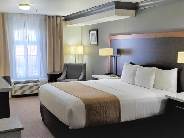 Comfort Inn & Suites Near Universal - N Hollywood - Burbank : photo 2 de la chambre suite lit king-size de luxe
