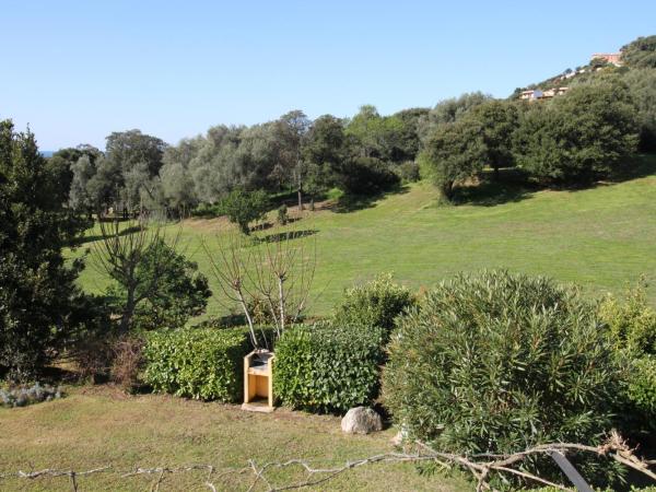 Residence Helios : photo 7 de la chambre appartement 1 chambre supérieur (4 adultes)