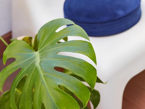 Bubusuites : photo 6 de la chambre suite supérieure