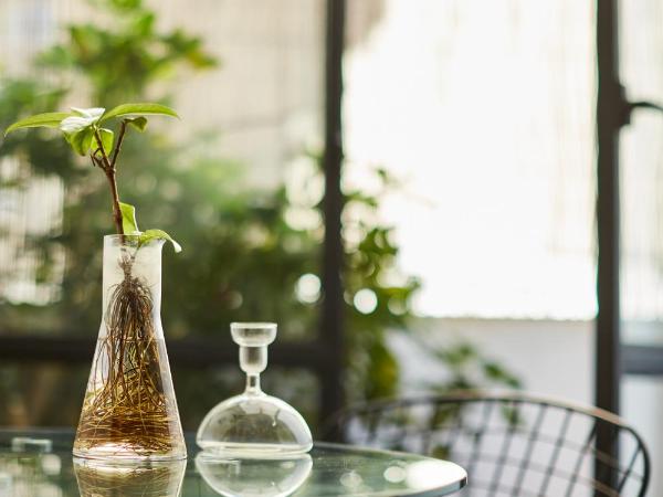 Bubusuites : photo 8 de la chambre suite supérieure