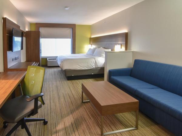 Holiday Inn Express & Suites - Indianapolis Northwest, an IHG Hotel : photo 7 de la chambre suite lit king-size – non-fumeurs