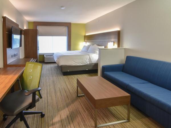 Holiday Inn Express & Suites - Indianapolis Northwest, an IHG Hotel : photo 6 de la chambre suite lit king-size avec canapé-lit