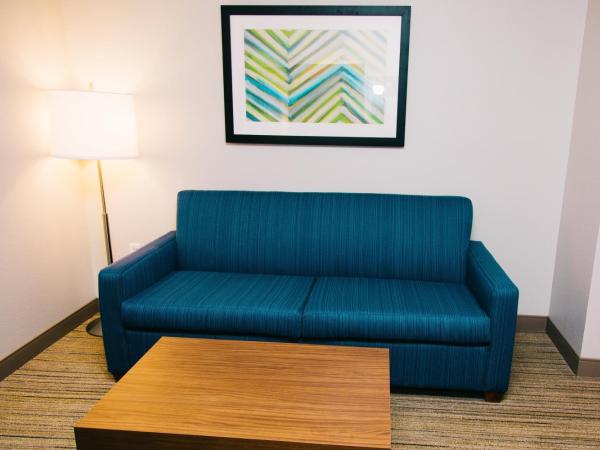 Holiday Inn Express Hotel & Suites Tampa-USF-Busch Gardens, an IHG Hotel : photo 4 de la chambre suite lit king-size