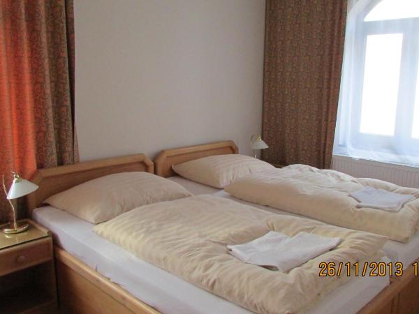 Villa Jinonice : photo 10 de la chambre studio