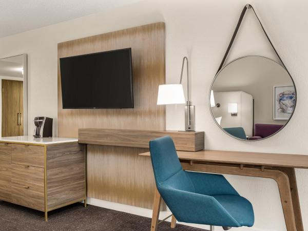 Crowne Plaza Orlando - Lake Buena Vista, an IHG Hotel : photo 7 de la chambre chambre lit king-size exécutive