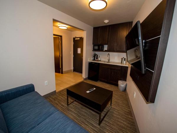 Holiday Inn Express & Suites - Colorado Springs AFA Northgate, an IHG Hotel : photo 4 de la chambre suite 2 chambres