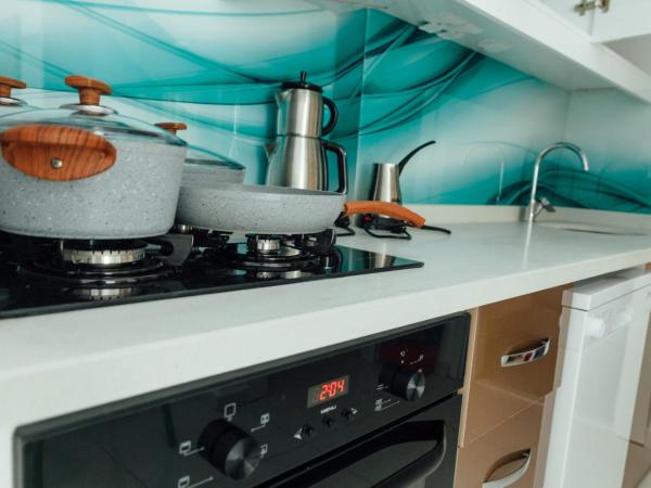 Sare Suites Downtown : photo 7 de la chambre appartement 1 chambre