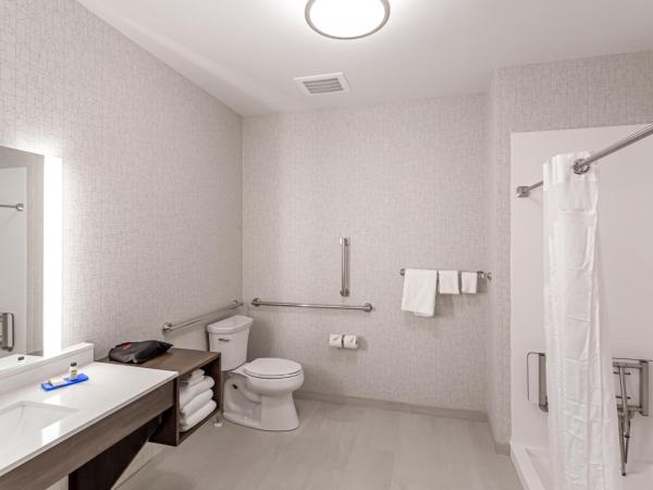 Holiday Inn Express & Suites - Columbus - Worthington, an IHG Hotel : photo 1 de la chambre suite lit king-size – non-fumeurs