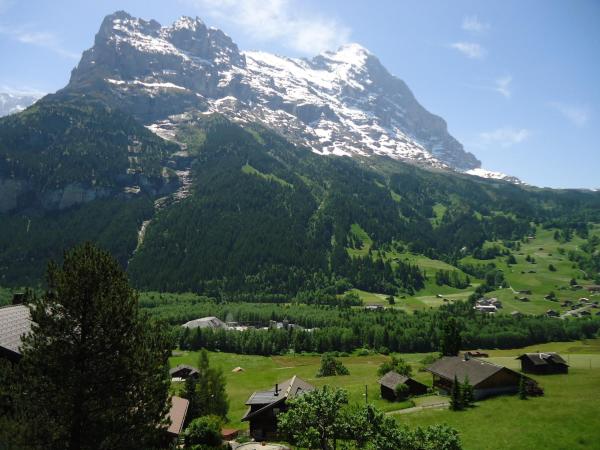 Hotel Tschuggen : photo 7 de la chambre appartement 2 pièces avec balcon