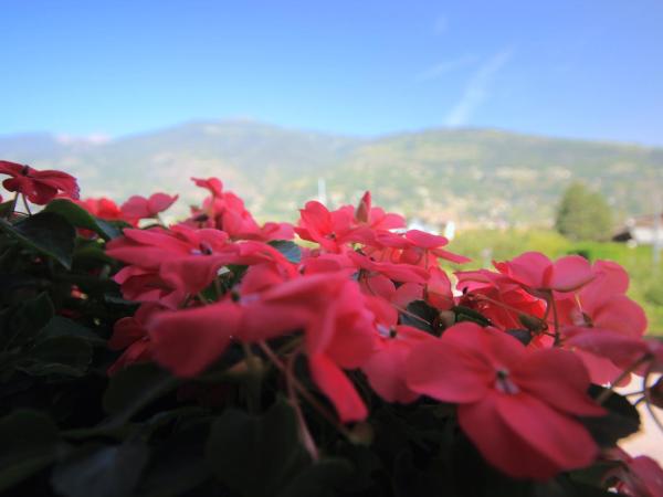 L'Adret : photo 10 de la chambre suite junior