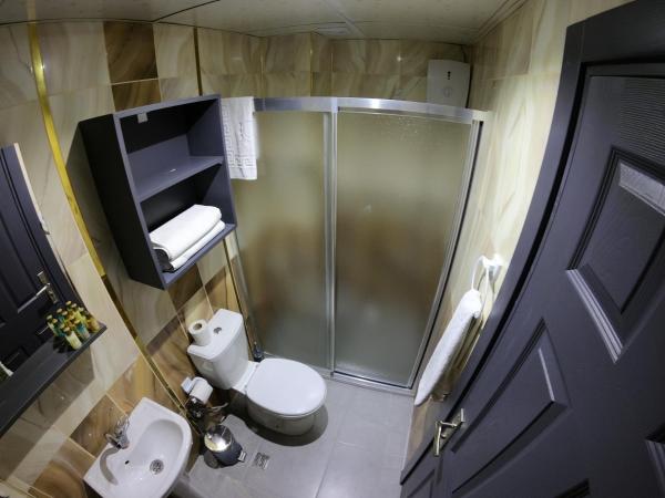 Exporoyal Hotel : photo 9 de la chambre chambre lits jumeaux standard