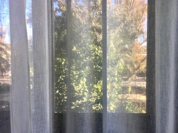 MD Modern Hotel - Jardines : photo 8 de la chambre chambre double standard avec vues