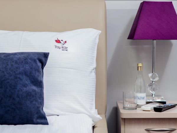 Hotel Trzy Róże : photo 4 de la chambre studio lit king-size deluxe